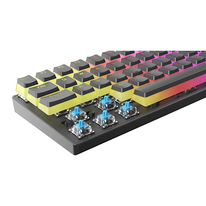 Manufacturer customs 61 keys TYPE-C mechanical keyboard with RGB backlight keyboards 60% T60 gaming keyboard mechanical desktop