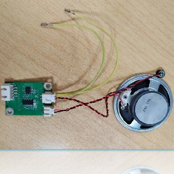 Module with voice control function with a PCB module assembly for connection