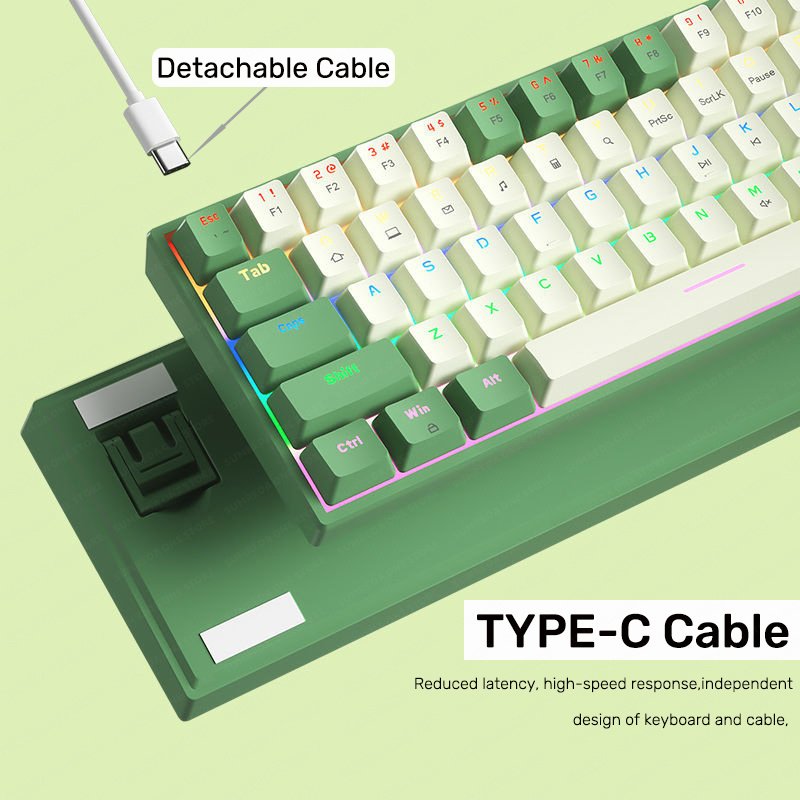 100 Keys Type-c Wired Mechanical Keyboard RGB LED Gaming Keyboard Mechanical Red Switch Hot-Swappable
