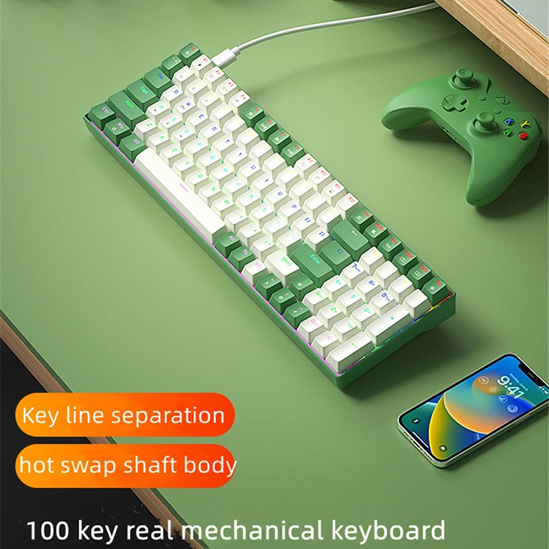 100 Keys Type-c Wired Mechanical Keyboard RGB LED Gaming Keyboard Mechanical Red Switch Hot-Swappable