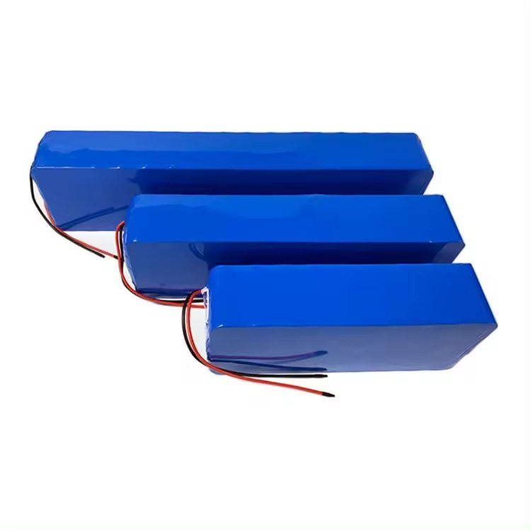 Customized OEM ODM 48V 20Ah 960WH e bike lifepo4 lithium ion battery pack for electric bicycle consumer electronics tools