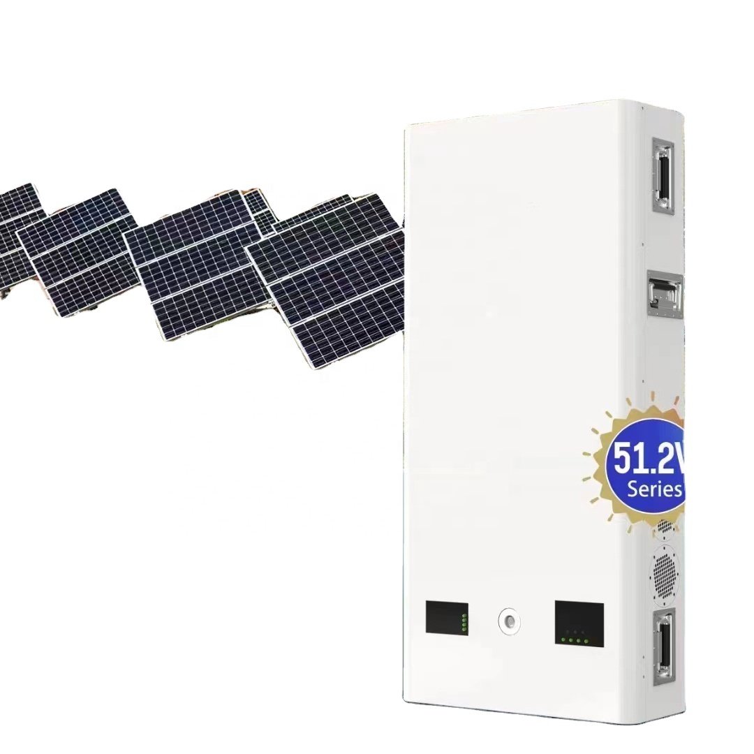 Amazing Promotion Price Deep Cycle 10Kwh Great Lithium Ion Battery Lifepo4 48v 200ah Tesla Powerwall Solar Storage Battery