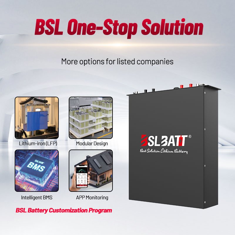 BSLBATT rechargeable battery pack lithium solar battery 48v 100ah for home appliances