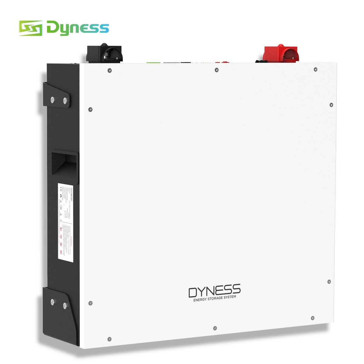 Dyness DL5.0C 51.2V 48V 50AH 100AH 200AH 10KWH 5KWH Power wall lithium iron lifepo4 battery pack For home