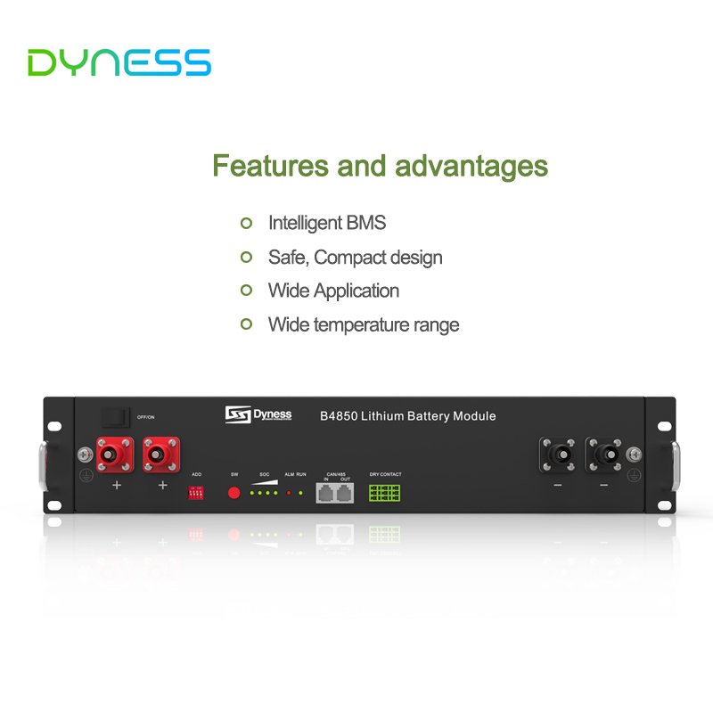 Dyness B4850 48v 50ah lithium battery rack mounted lifepo4 module set 5kw power energy1 storage solar system for home