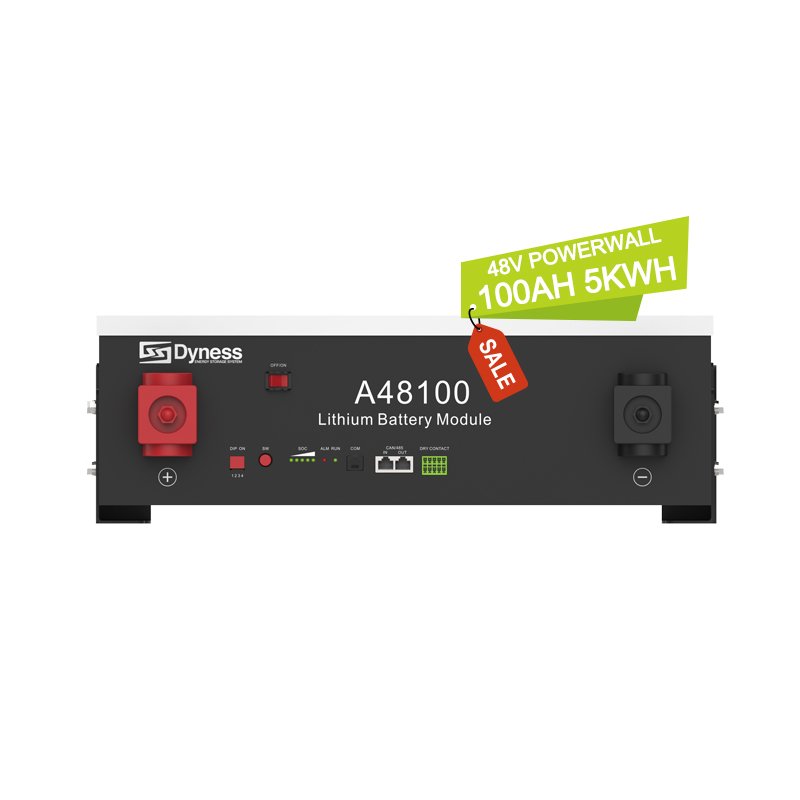 Dyness A48100 Hot sale wall mounted 48V 100Ah lifepo4 battery 6000 cycle 90%DOD 5kwh Lithium ion Battery Powerwall home battery