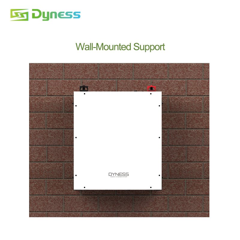 Dyness A48100 Hot sale wall mounted 48V 100Ah lifepo4 battery 6000 cycle 90%DOD 5kwh Lithium ion Battery Powerwall home battery