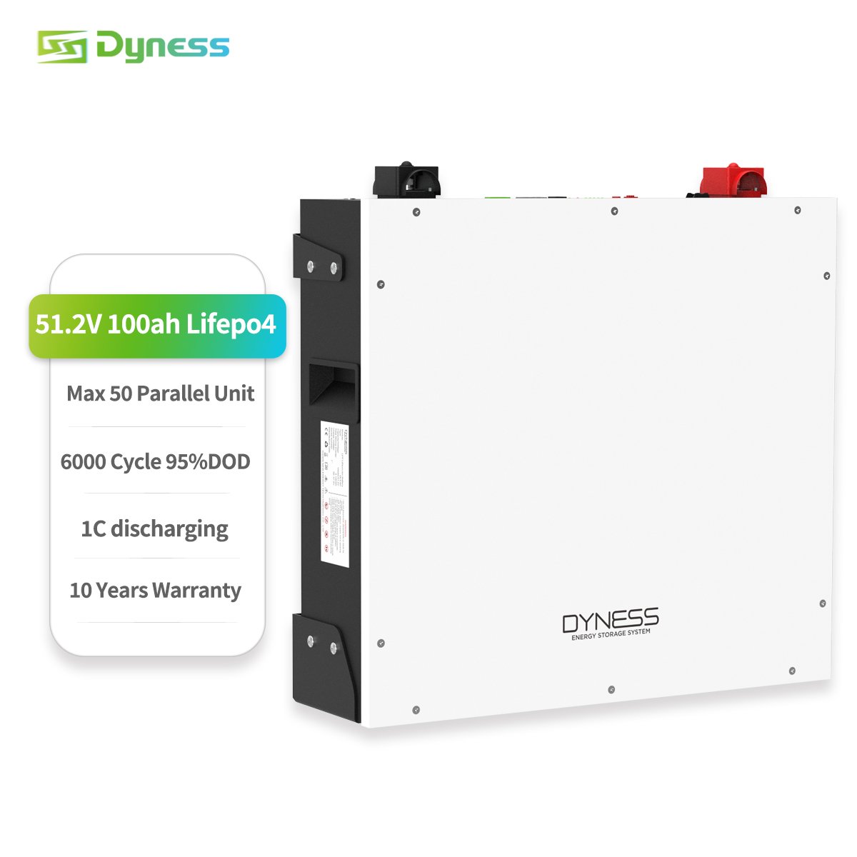 Dyness Rack Mounted Lithium Ion Batteries DL5.0C 51.2V 48V 100Ah 200Ah Grade A Lifepo4 Battery For house Solar System