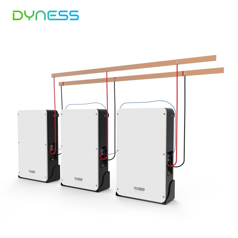 Dyness Wall mounted 10kwh 20kwh 40kwh lithium iron phosphate battery 48v 200ah lifepo4 solar battery for ESS