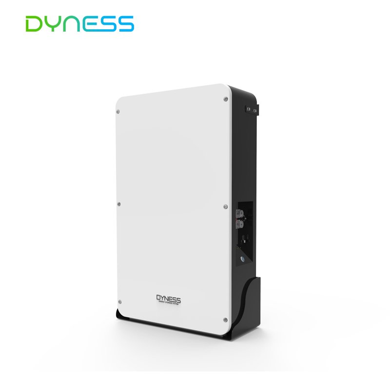 Dyness Wall mounted 10kwh 20kwh 40kwh lithium iron phosphate battery 48v 200ah lifepo4 solar battery for ESS