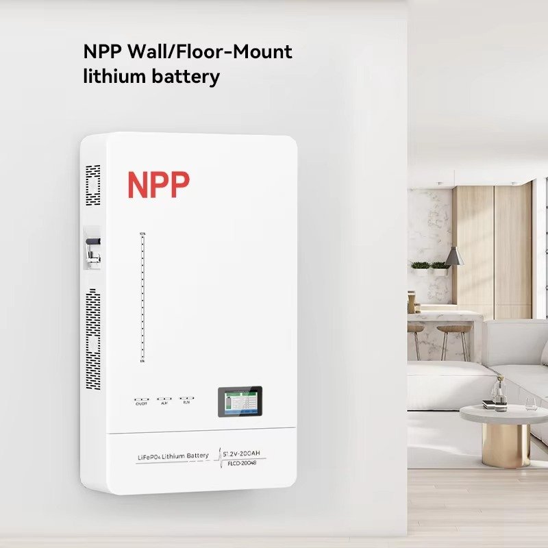 24 Volt 51.2v 100Ah Lithium Ion Lifepo4 Battery Home Energy Storage 48v