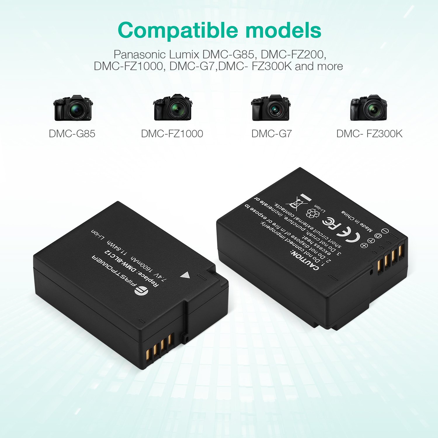 Mini Portable 2 Pack Rechargeable Camera Replacement DMW-BLC12 Lithium ion Batteries Dual USB LED Charger