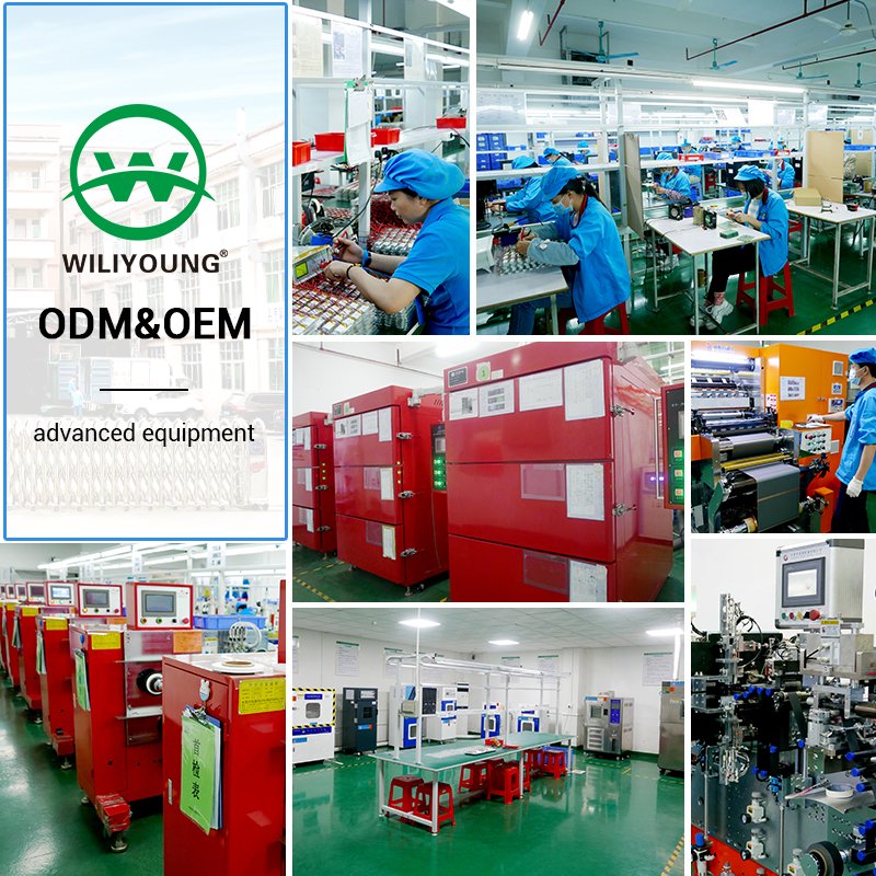 Rechargeable Battery Cell 3.7v 300mah Digital Batteries Cellphone 602030 Lipo Lithium Polymer Ion Li-polymer Battery