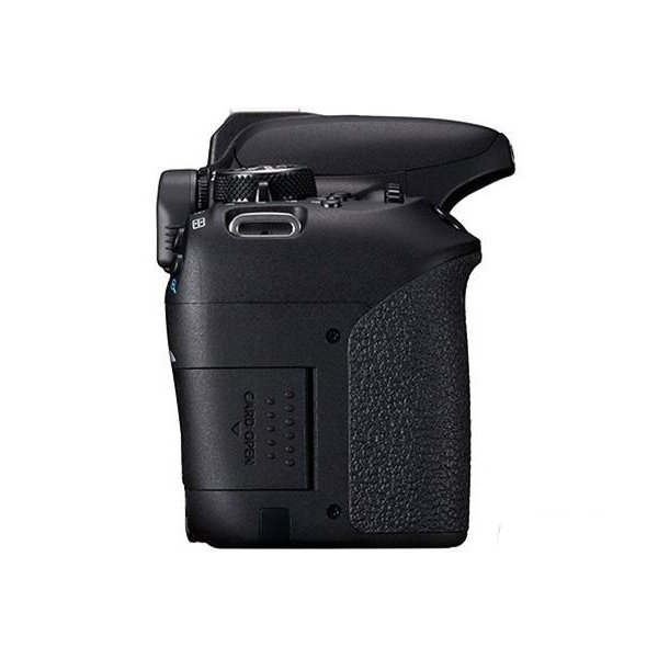 DF Wholesale 99% New Professional DSLR for canon Body Worn Camera 800D