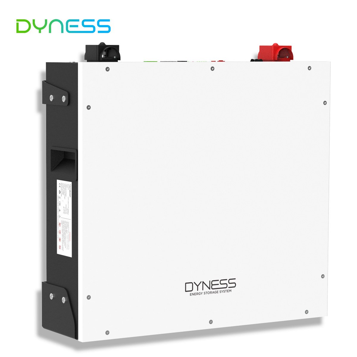 Dyness Dl5.0C 51.2v 100ah lifepo4 battery Rack mounted 5kw lithium ions battery 6000 cycle Smart BMS With Goodwe solis inverter