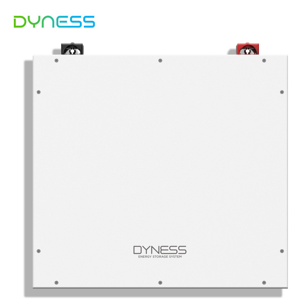 Dyness Dl5.0C 51.2v 100ah lifepo4 battery Rack mounted 5kw lithium ions battery 6000 cycle Smart BMS With Goodwe solis inverter