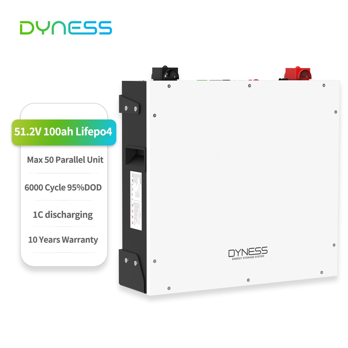Dyness Dl5.0C 51.2v 100ah lifepo4 battery Rack mounted 5kw lithium ions battery 6000 cycle Smart BMS With Goodwe solis inverter