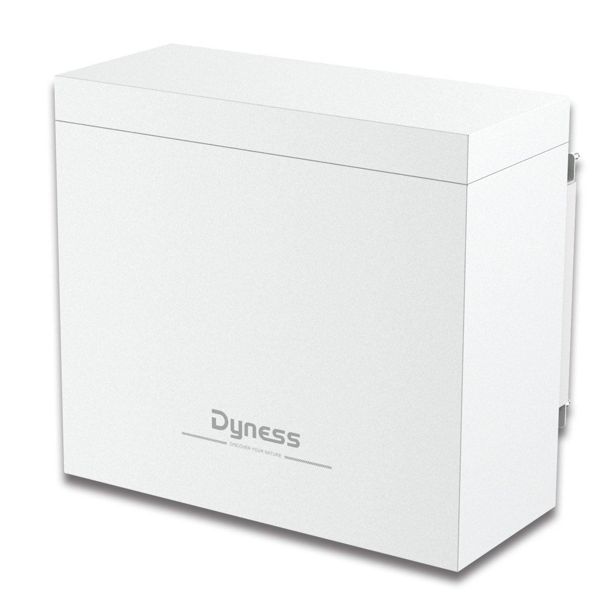Eu STock Dyness B4850-box 48v 100ah 4.8kwh lifepo4 battery 2pcs B4850 Parallel IP54 Protect BOX home energy storage system