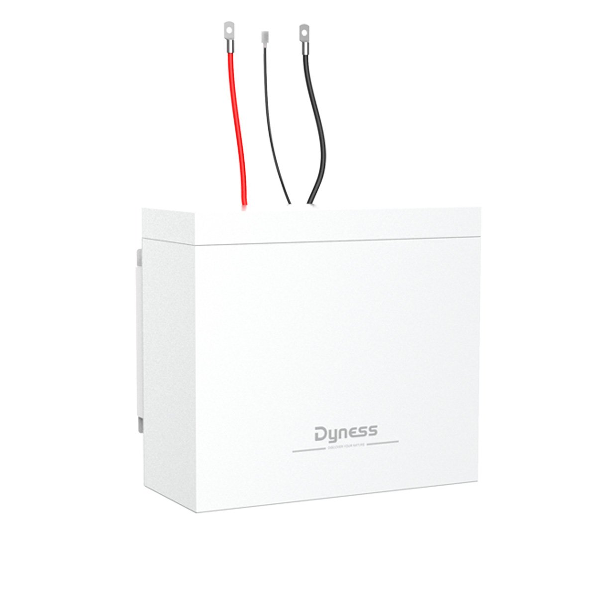 Eu STock Dyness B4850-box 48v 100ah 4.8kwh lifepo4 battery 2pcs B4850 Parallel IP54 Protect BOX home energy storage system