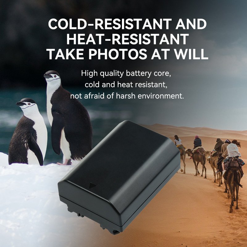 FB NP FZ100 camera battery for sony a7m4 a7m3 a7c2 A7R3 A7R4 7RM3 A9M2 A7S3 A6600 A6700 FX30 Digital camera