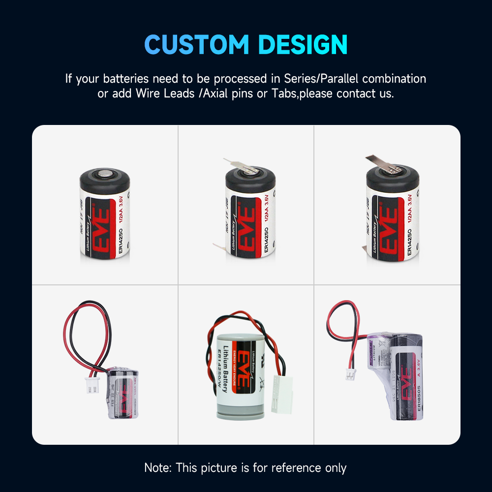 EVE Li-SOCL2 Lithium ion Battery Pack primary batteries batteries with wire and connector for multimeters