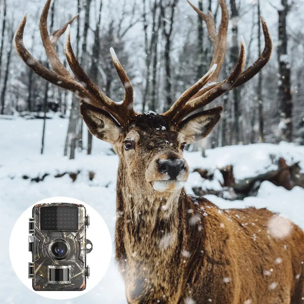 Hunting Game Camera 12MP PIR Wild Trail Game Cam Infrared Night Vision Digital Scout Camera