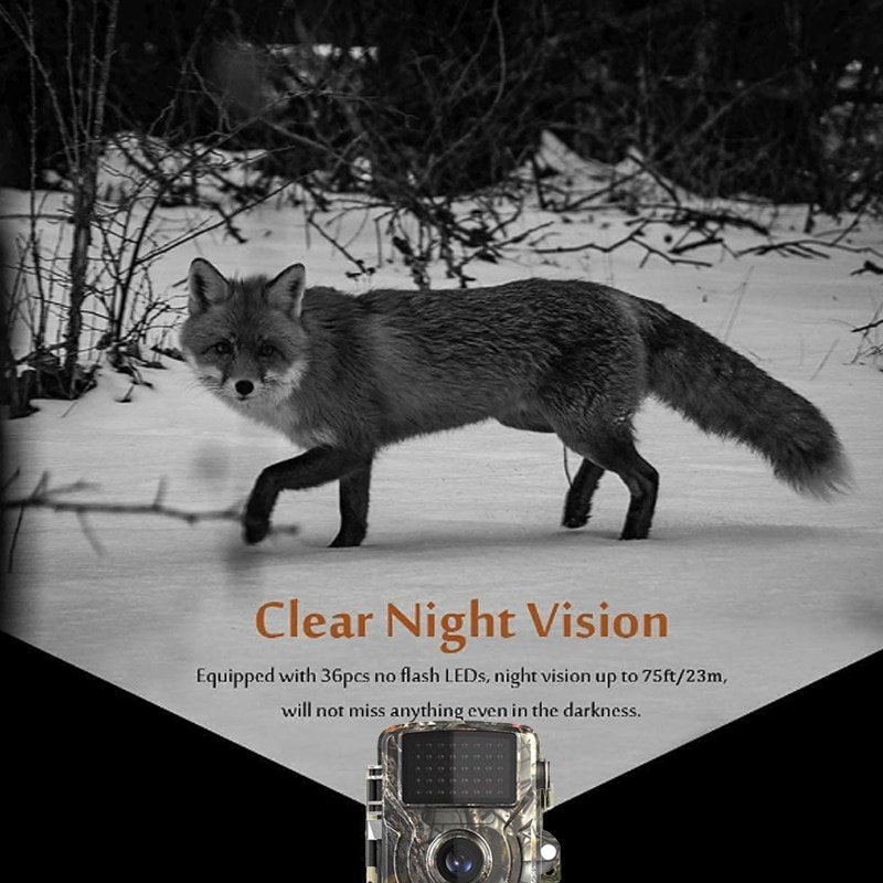 digital trail hunting camera with ce/ rohs hunting camera outdoor 1080p mini hunting camera