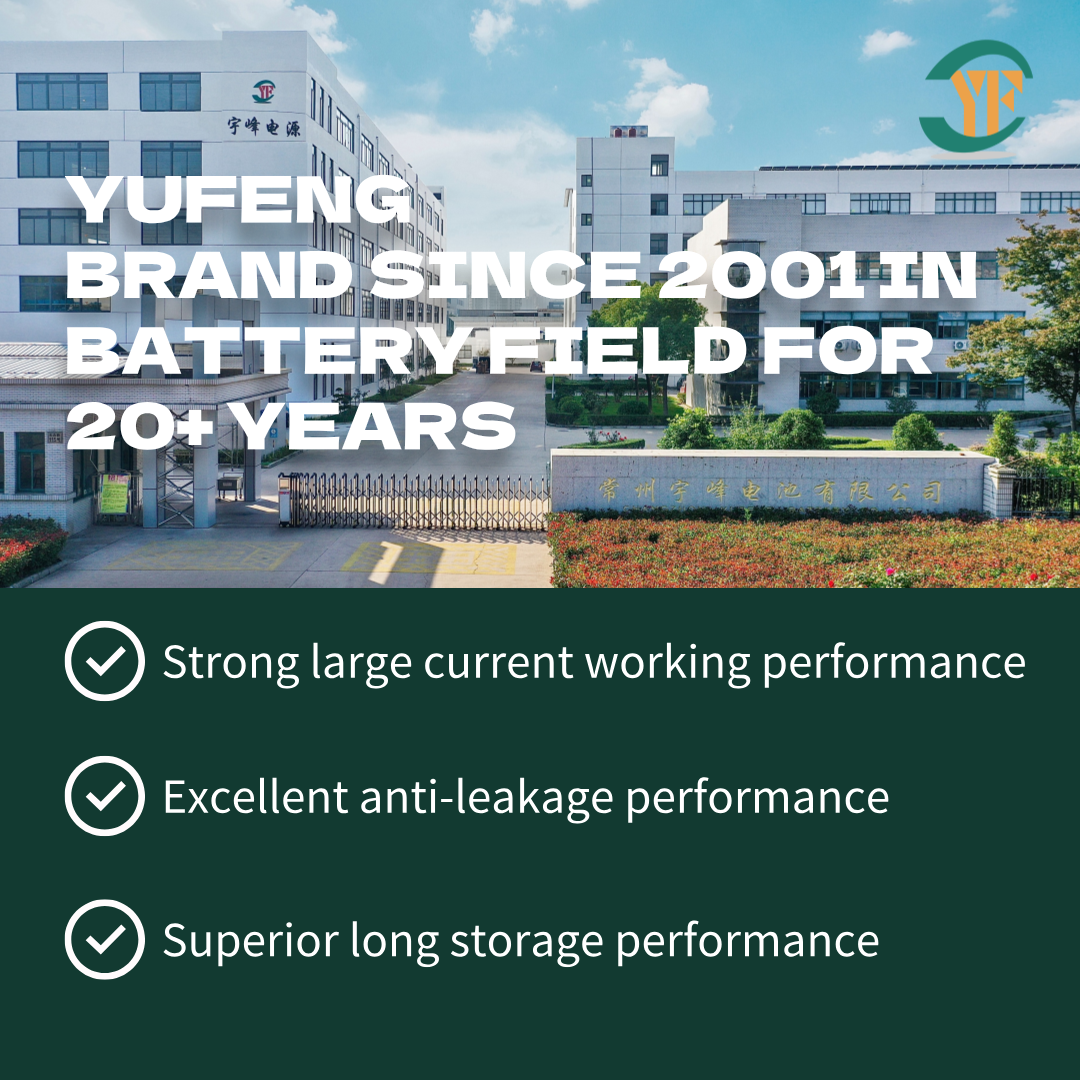 Manufacturer Wholesale NSN CR2450 3V 600mAh Lithium Coin Cell Battery Round Primary Lithium Manganese Dioxide Button Customized