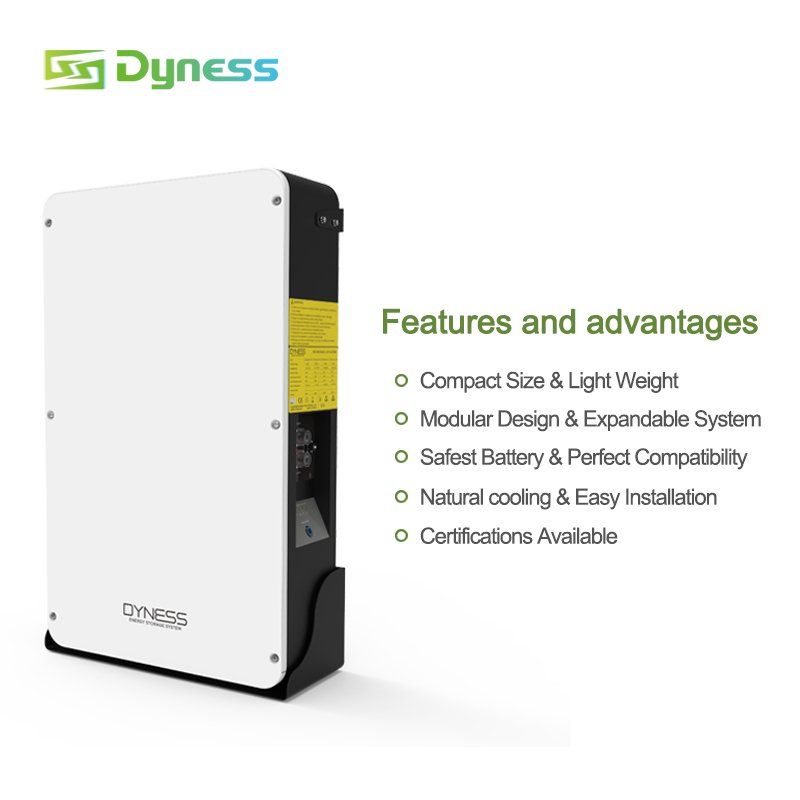 Dyness Power wall lifepo4 battery 10kwh 48v 200ah lithium iron phosphate batteries 10kw solar storage system