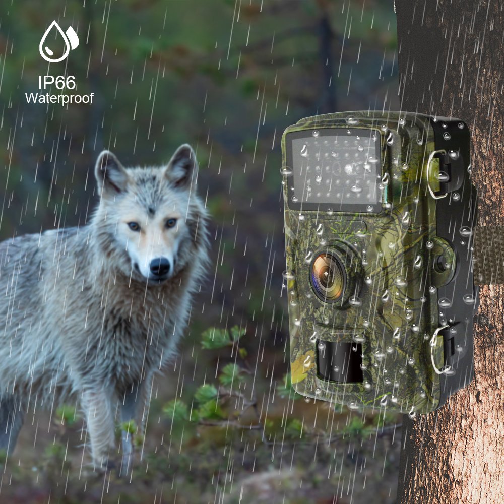 1080P PIR Motion Activated Video Camera Outdoor Forest Farmland Garden Animal Monitoring Camera Waterproof