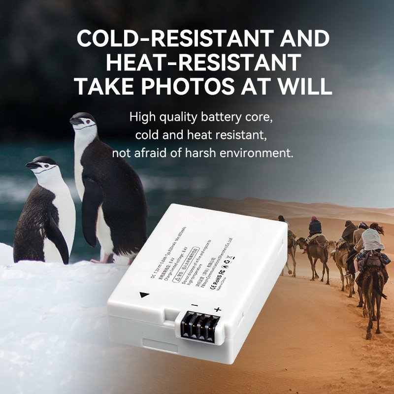 Customization FB LP E8 Digital camera battery for Canon eos 550D 600D 650D 700D SLR camera