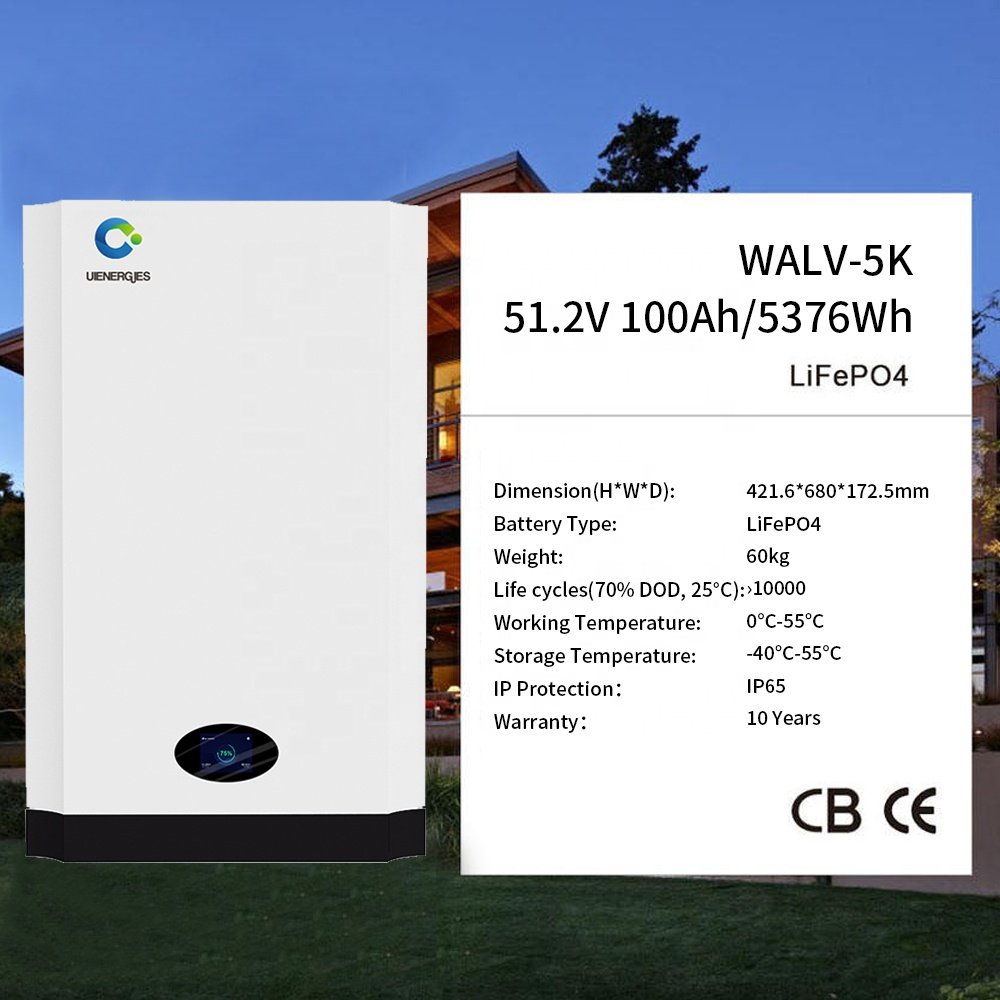 UIENERGIE UIENERGIES Deep Cycle Lithium Ion Batteries 48V 200Ah 100Ah 5Kwh 10Kwh Lifepo4 Lithium Battery Powerwall Solar Battery