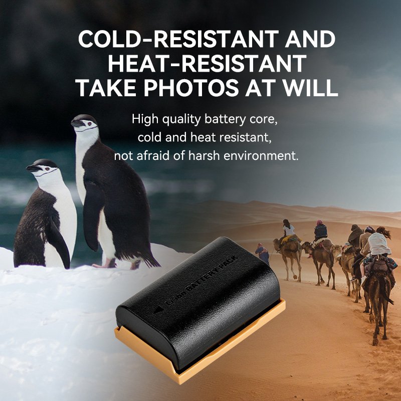 Wholesales 1600mAh 7.2V digital camera lp-e6 battery for Canon 70D 5D Mark II 80D 7D Mark II 60D 6D 7D BG-E14 BG-E13 BG-E11 BG-