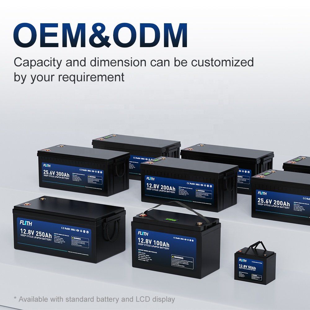 Flith renewable energy BMS lifepo4 rechargeable battery packs replace gel battery 12v 24V 100AH 200AH lithium ion battery
