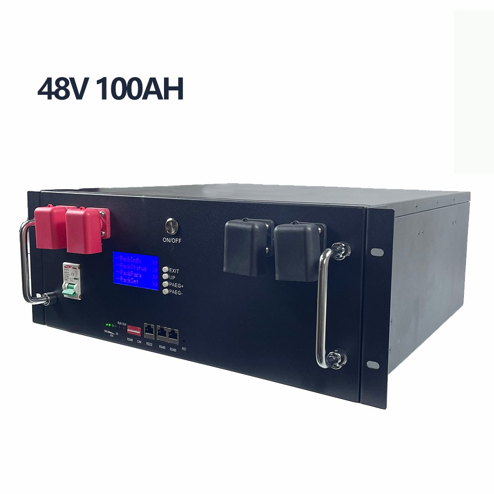 100Ah 200Ah 6000Cycle Rechargeable Battery with BMS Lithium ion 5kw 10kw Phosphate LFP Cell Pack 24V 48V Solar LiFePo4 Battery