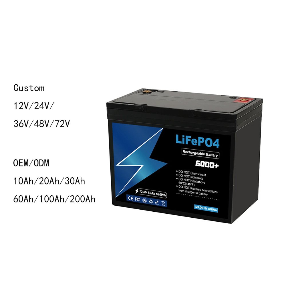 custom LiFePO4 rechargeable batteries LiFePo4 24v 50Ah lithium ion battery lifepo4 battery cell for Marine Trolling Motor