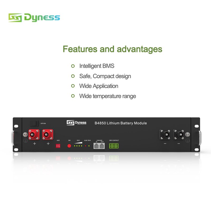 Dyness B4850 48v 51.2v 50ah 100ah 200ah smart bms lifepo4 battery pack 5kw 10kw lithium battery for home solar system