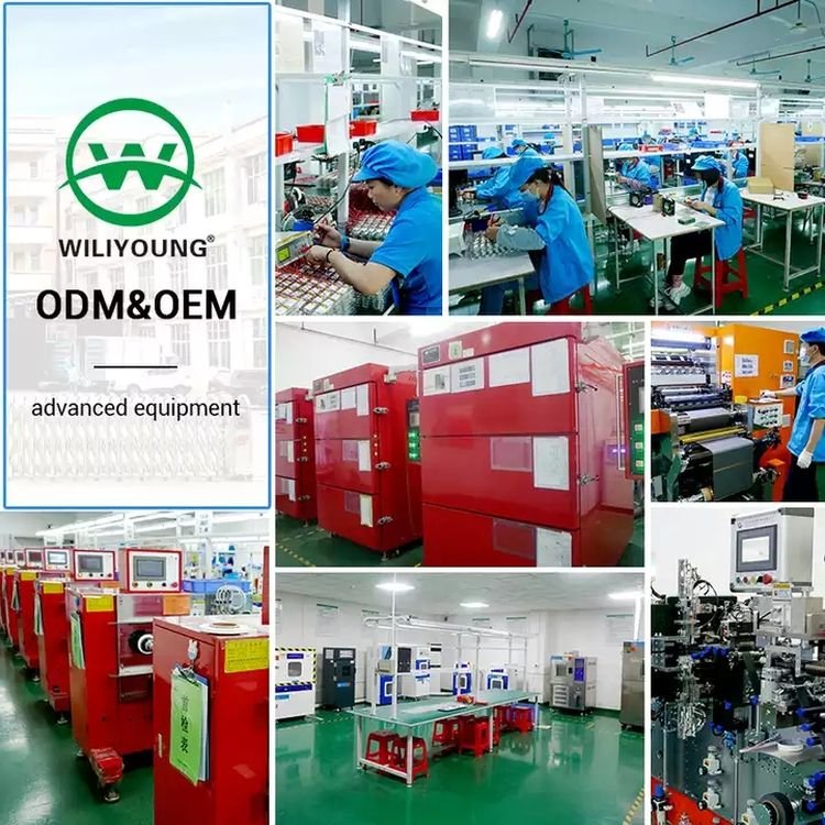 Oem Factory Lipo 1000mAh 102050 Li-polymer Polymer Lithium Battery for Digital Bluetooth Devices