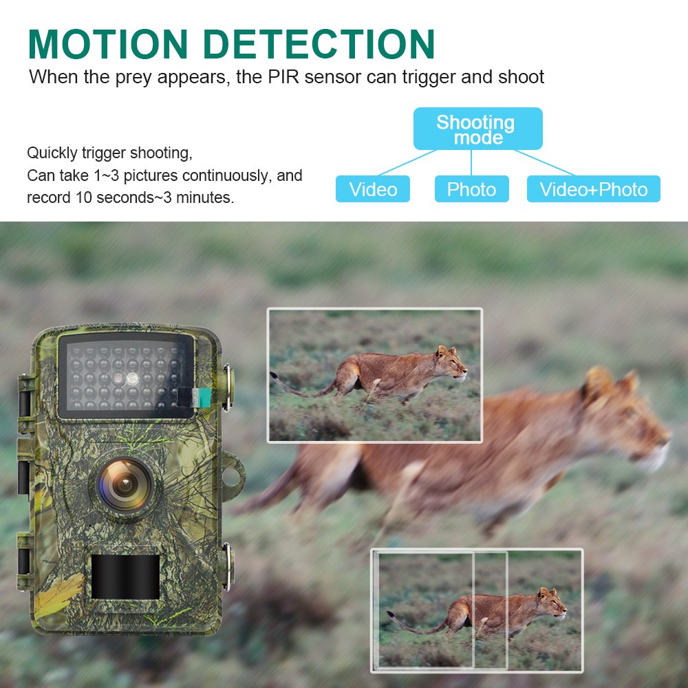 Animal Motion Activated Video Camera PIR 2'' Screen Trail Camera For Jungle Adventure