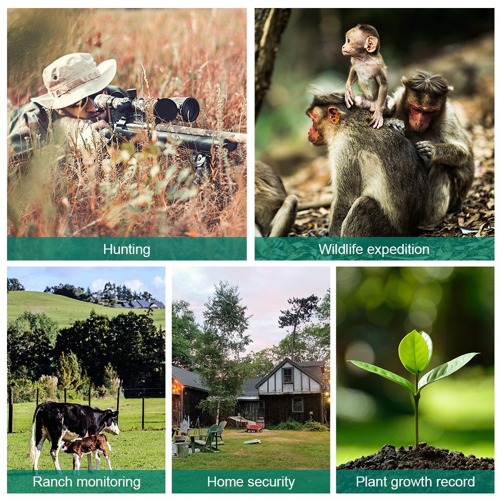 1080P High Quality CE Wildlife Trail Camera Night Vision Non WiFi PIR Motion Recording Video Camera DL001
