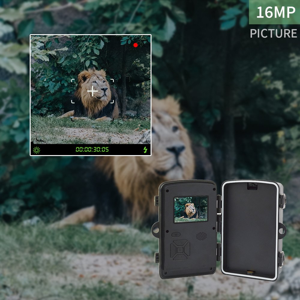 1080P High Quality CE Wildlife Trail Camera Night Vision Non WiFi PIR Motion Recording Video Camera DL001