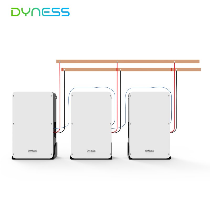 Dyness Outdoor Wall mouted 10kwh 48v 200ah lithium solar battery 51.2v 200ah lifepo4 battery IP65 Protect 6000 Cycle with CANS