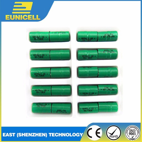 2CR1 3N 6V Lithium Battery 2CR1/3N for Use in Dog Collars