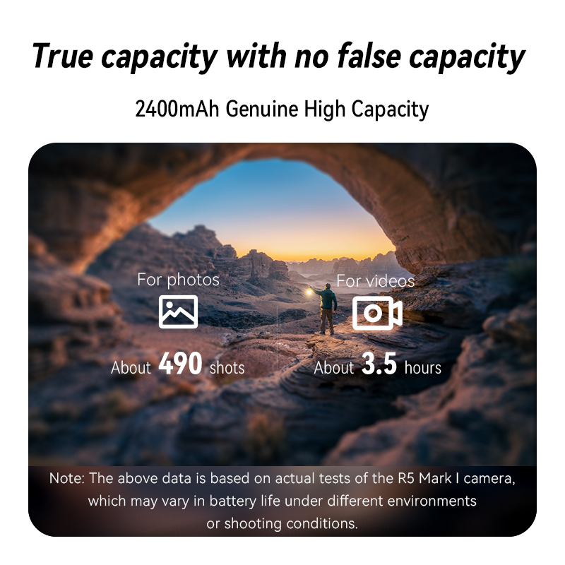 2-Pack LP-E6P/LP-E6NH Rechargeable Digital Battery Charger Set Compatible for Canon EOS R5 Mark II/R52 SLR Camera Dual Electric