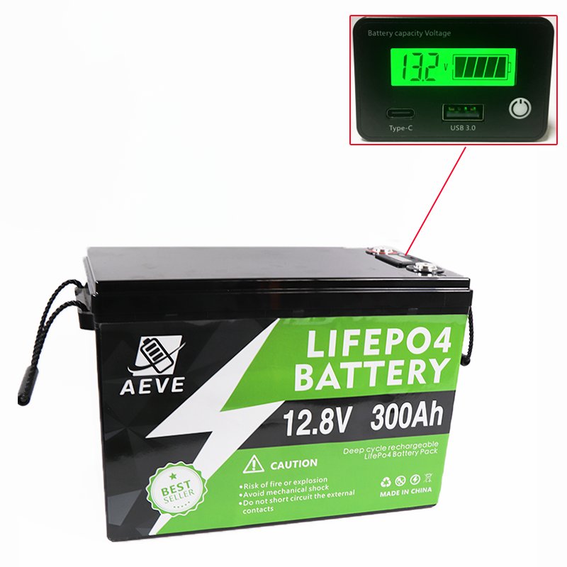 Lifepo4 Battery 12V 100Ah 200Ah 300Ah Fast delivery Rechargeable Deep Cycle 24V Lithium Ion Battery Pack With Bms
