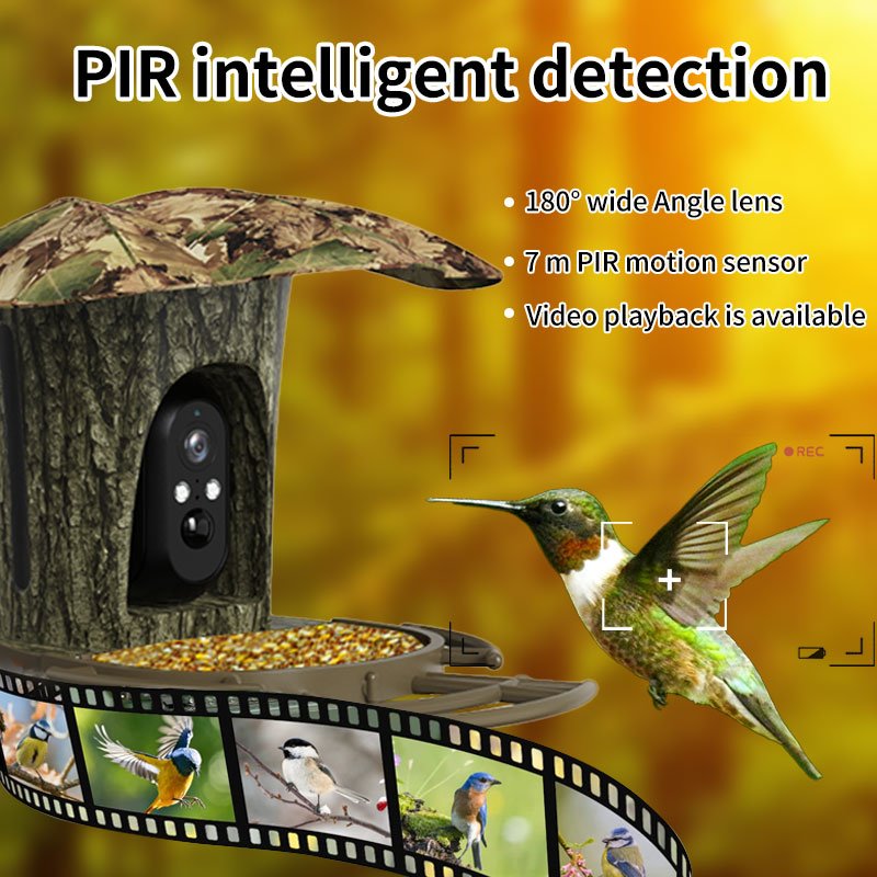 3MP Solar Garden Wildlife Waterproof Recorder PIR Detection WiFi 4G Smart Bird Feeder Camera
