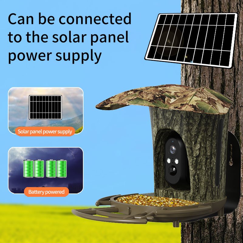 3MP Solar Garden Wildlife Waterproof Recorder PIR Detection WiFi 4G Smart Bird Feeder Camera