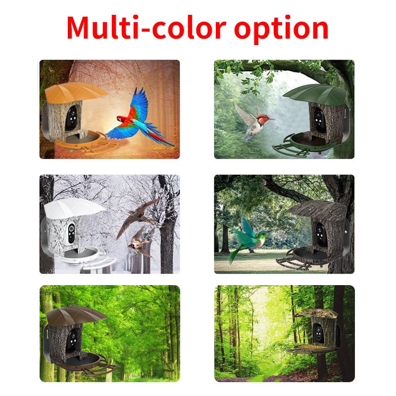 3MP Solar Garden Wildlife Waterproof Recorder PIR Detection WiFi 4G Smart Bird Feeder Camera