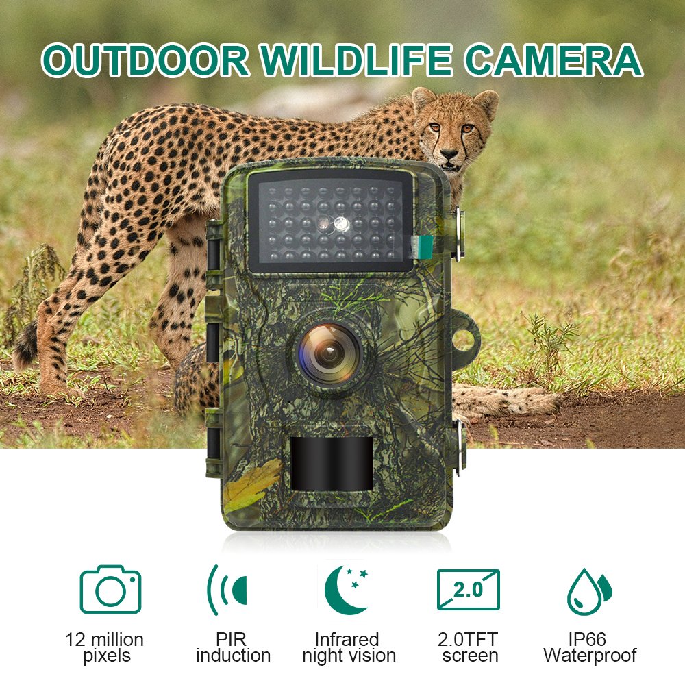 IP66 Waterproof Trail Camera PIR Night Vision Video Camera Bird Feeding Photo View