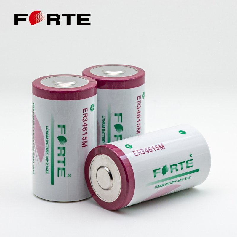 ER34615 D size Lithium Batteries 3.6V High Capacity Battery 19000mAh